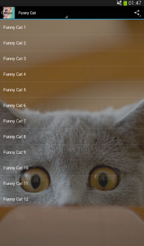 Herunterladen Klingt von Katzen! Musik und Audio für Android Bildschirmfoto 4