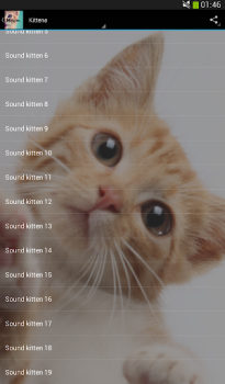 Herunterladen Klingt von Katzen! Musik und Audio für Android Bildschirmfoto 5