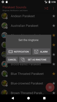 Herunterladen Appp.io - Parakeet Sounds Unterhaltung für Android Bildschirmfoto 4