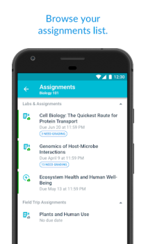 Herunterladen Canvas Teacher Bildung für Android Bildschirmfoto 2