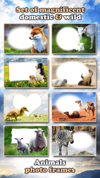Herunterladen All Animals Photo Frames 🐅 Wildlife 🐈 Cute Pets Foto für Android Bildschirmfoto 6
