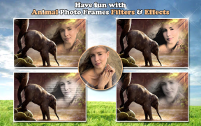 Herunterladen All Animals Photo Frames 🐅 Wildlife 🐈 Cute Pets Foto für Android Bildschirmfoto 7