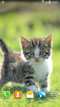 Herunterladen Cat Live Wallpaper Personalisierung für Android Bildschirmfoto 2