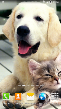 Herunterladen Cat Live Wallpaper Personalisierung für Android Bildschirmfoto 7