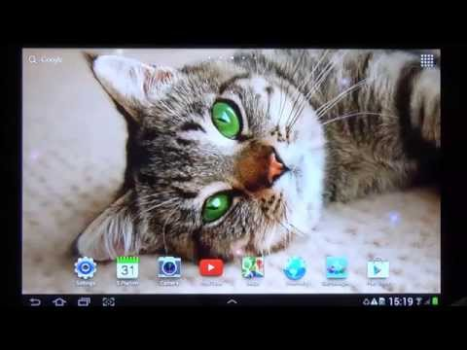 Herunterladen Cat Live Wallpaper Personalisierung für Android Bildschirmfoto 8