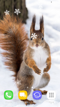 Herunterladen Beautiful Winter Live Wallpape Personalisierung für Android Bildschirmfoto 5