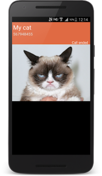 Herunterladen gefälschte Telefonanruf Unterhaltung für Android Bildschirmfoto 2
