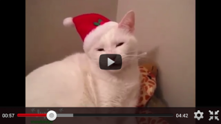 Herunterladen Free Funny Videos for Whatsapp Unterhaltung für Android Bildschirmfoto 7