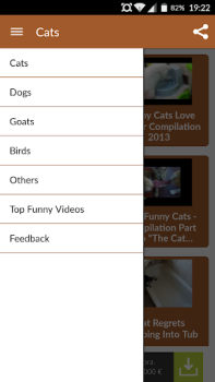 Herunterladen Funny Animal Videos: Cats Dogs Unterhaltung für Android Bildschirmfoto 5