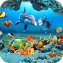 Herunterladen  Koi-Fisch-Live-Hintergrundbild