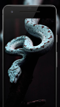 Herunterladen Darkify 3 Personalisierung für Android Bildschirmfoto 6