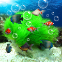 Herunterladen  Aquarium
