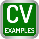 Herunterladen  CV Examples: PDF CV Templates