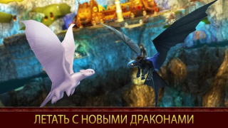 Herunterladen Drachenzähmen leicht gemacht Rollenspiele für Android Bildschirmfoto 7