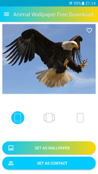 Herunterladen Hintergrundbilder Tiere Personalisierung für Android Bildschirmfoto 4