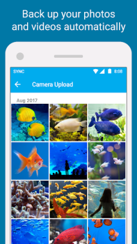 Herunterladen Sync - Secure cloud storage Arbeit für Android Bildschirmfoto 3
