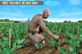 Modern Farming 2