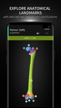 Herunterladen Anatomyka - 3D Anatomy Atlas Medizin für Android Bildschirmfoto 2