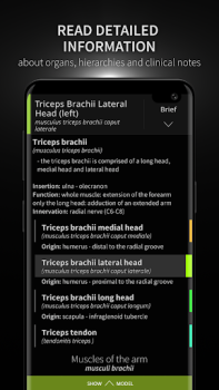 Herunterladen Anatomyka - 3D Anatomy Atlas Medizin für Android Bildschirmfoto 3
