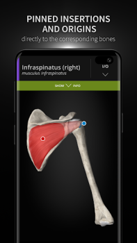 Herunterladen Anatomyka - 3D Anatomy Atlas Medizin für Android Bildschirmfoto 4