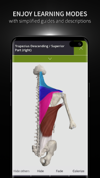 Herunterladen Anatomyka - 3D Anatomy Atlas Medizin für Android Bildschirmfoto 6