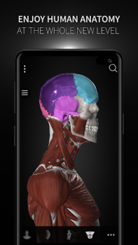 Herunterladen Anatomyka - 3D Anatomy Atlas Medizin für Android Bildschirmfoto 7