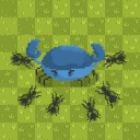 Herunterladen  Ant Colony - Simulator
