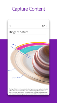 Microsoft OneNote: Save Notes