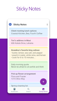 Microsoft OneNote: Save Notes