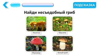Herunterladen Подготовка к школе: полный кур Bildung für Android Bildschirmfoto 3