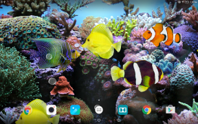 Herunterladen Coral Fish 3D Live Wallpaper Personalisierung für Android Bildschirmfoto 7
