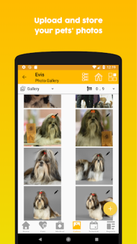 Herunterladen 11pets: Haustierpflege Lebensstil für Android Bildschirmfoto 5