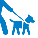 Herunterladen  Dog Walk - Spazieren mit Hund