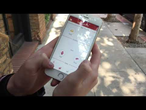 Herunterladen DogLog - Track your Pet's Life Lebensstil für Android Bildschirmfoto 7
