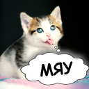 Herunterladen  Cat translator. Cat sounds. Meow joke