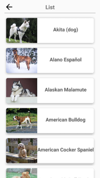 Hunderassen - Quiz über Hunde!