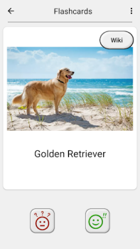 Hunde - Raten Sie alle Rassen!