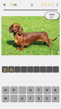 Hunde - Raten Sie alle Rassen!