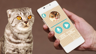 Herunterladen Переводчик на кошачий язык Unterhaltung für Android Bildschirmfoto 3