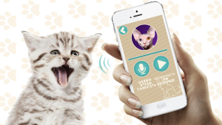 Herunterladen Переводчик на кошачий язык Unterhaltung für Android Bildschirmfoto 4