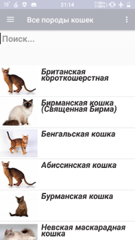 Herunterladen Все породы кошек Bücher und Leitfäden für Android Bildschirmfoto 2