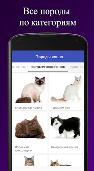 Herunterladen Породы кошек. Справочник пород Bücher und Leitfäden für Android Bildschirmfoto 2
