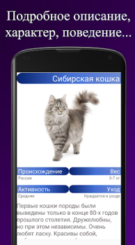 Herunterladen Породы кошек. Справочник пород Bücher und Leitfäden für Android Bildschirmfoto 3