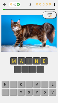 Katzen: Quiz über Katzenrassen