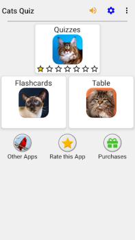 Katzen: Quiz über Katzenrassen