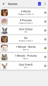 Katzen: Quiz über Katzenrassen