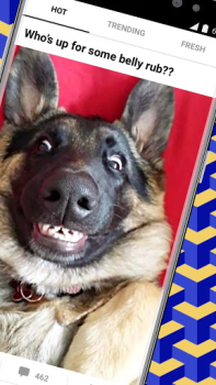 Herunterladen 9GAG: Funny GIF, Meme & Video Unterhaltung für Android Bildschirmfoto 2