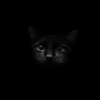 Herunterladen Black Live Wallpaper Personalisierung für Android Bildschirmfoto 5