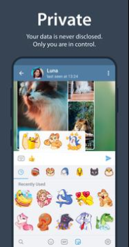 Herunterladen Telegram Kommunikation für Android Bildschirmfoto 3