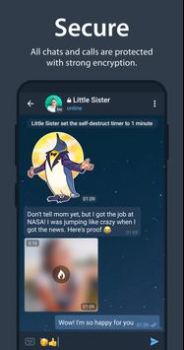 Herunterladen Telegram Kommunikation für Android Bildschirmfoto 6